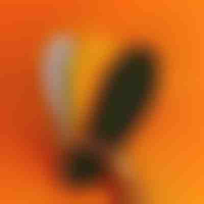 Soletta ortopedica con punti massaggianti | STEPEASE