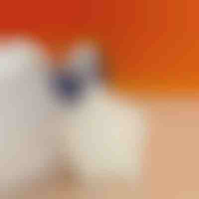 Cuscinetto per tallone per ridurre il dolore al tallone | STEPHEEL